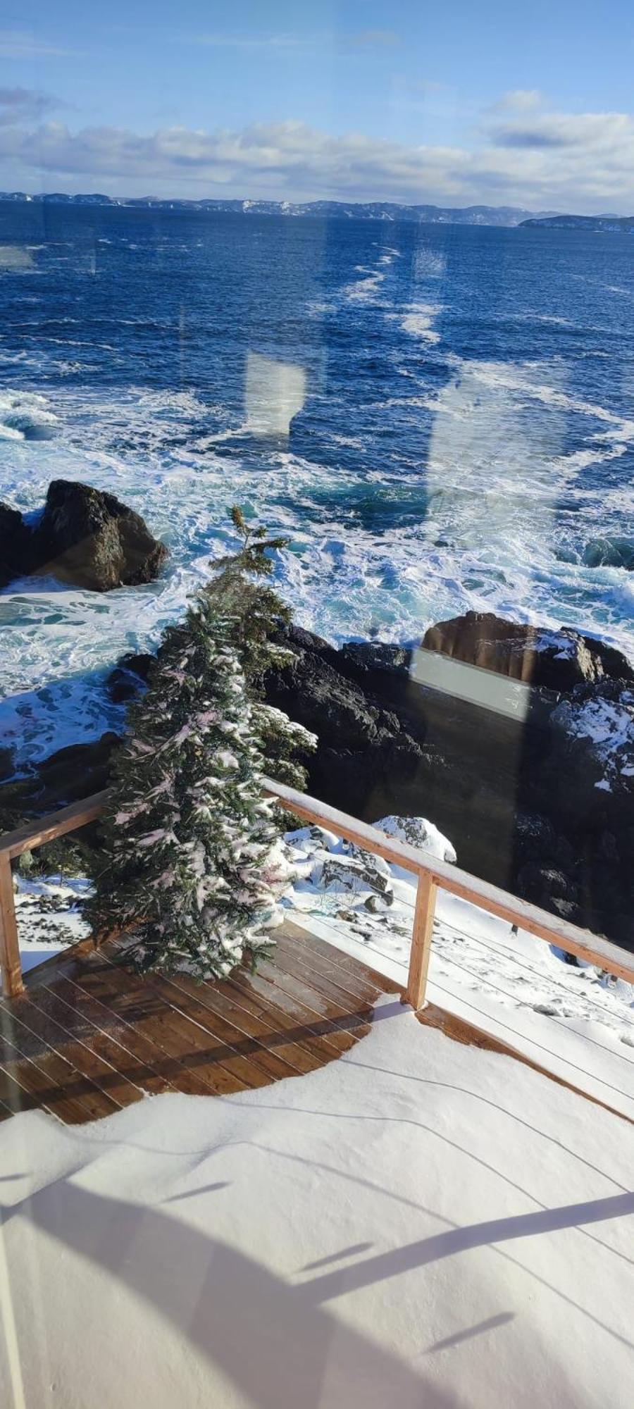 The View Suites And Breakfast In Triton, Newfoundland Pilley's Island ภายนอก รูปภาพ