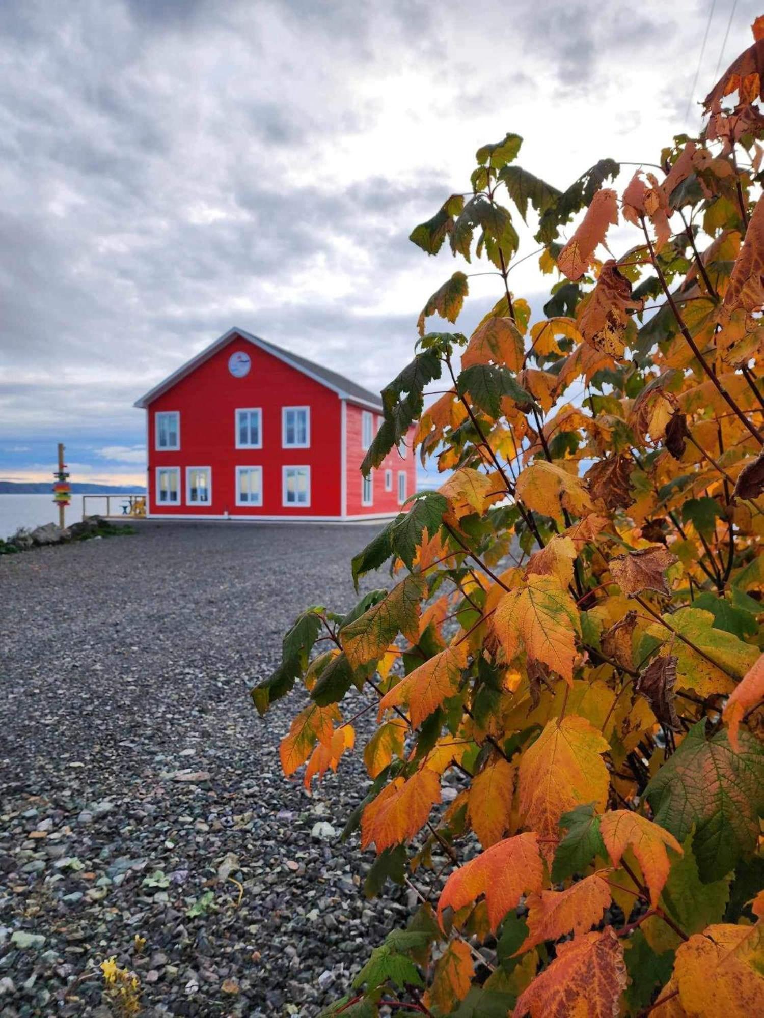 The View Suites And Breakfast In Triton, Newfoundland Pilley's Island ภายนอก รูปภาพ