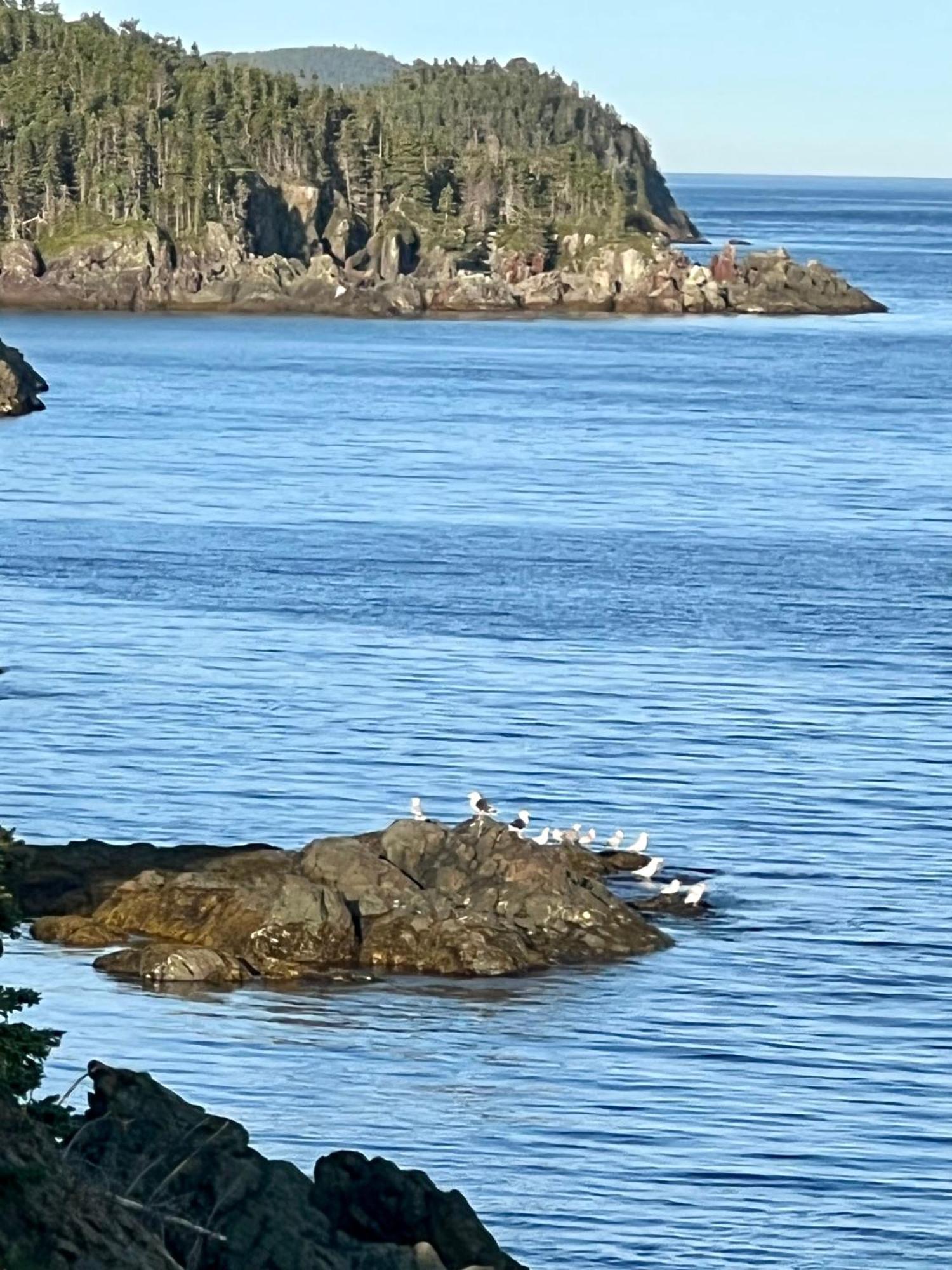 The View Suites And Breakfast In Triton, Newfoundland Pilley's Island ภายนอก รูปภาพ