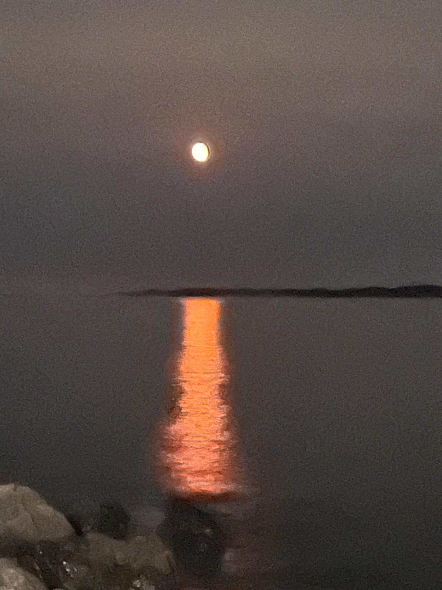 The View Suites And Breakfast In Triton, Newfoundland Pilley's Island ภายนอก รูปภาพ