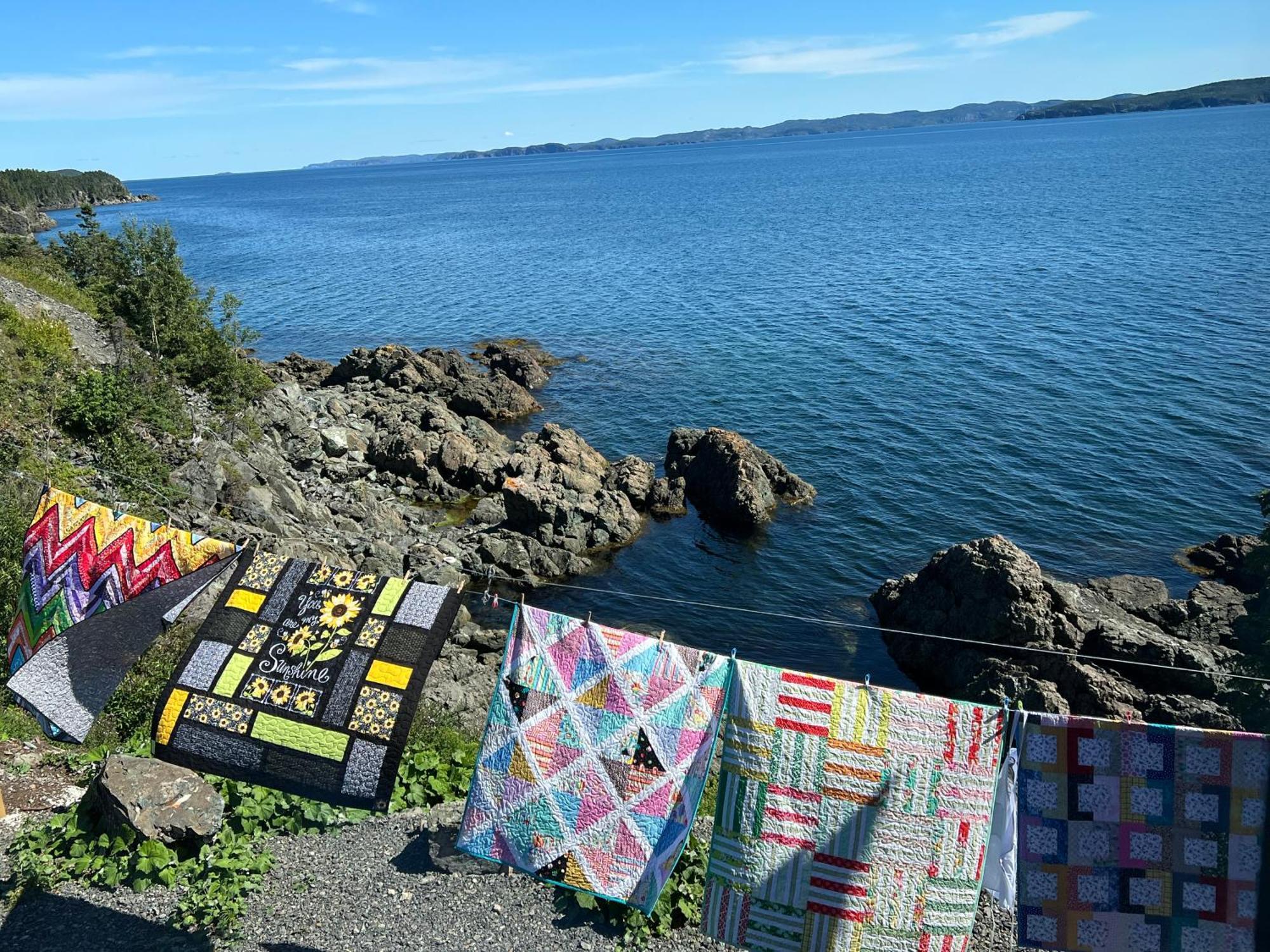 The View Suites And Breakfast In Triton, Newfoundland Pilley's Island ภายนอก รูปภาพ