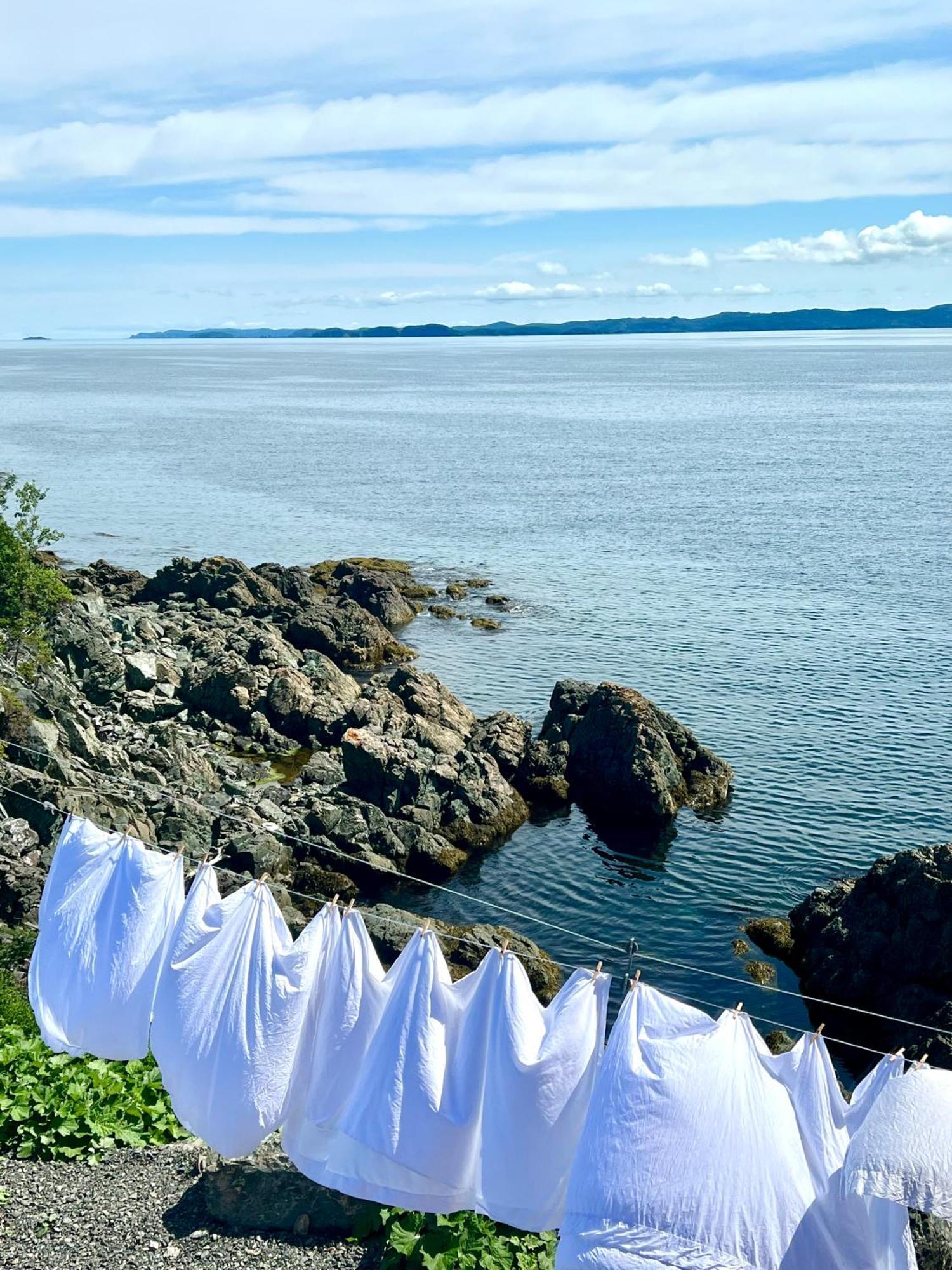 The View Suites And Breakfast In Triton, Newfoundland Pilley's Island ภายนอก รูปภาพ