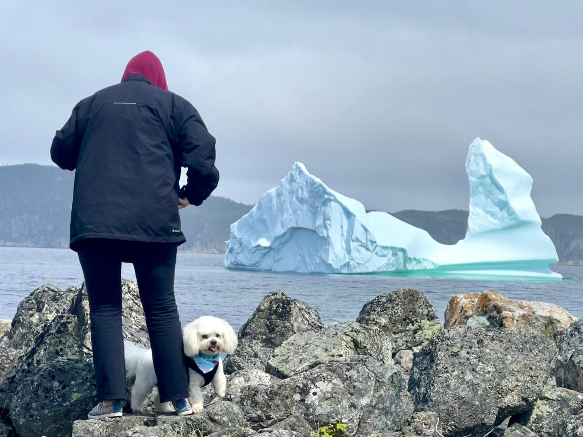The View Suites And Breakfast In Triton, Newfoundland Pilley's Island ภายนอก รูปภาพ