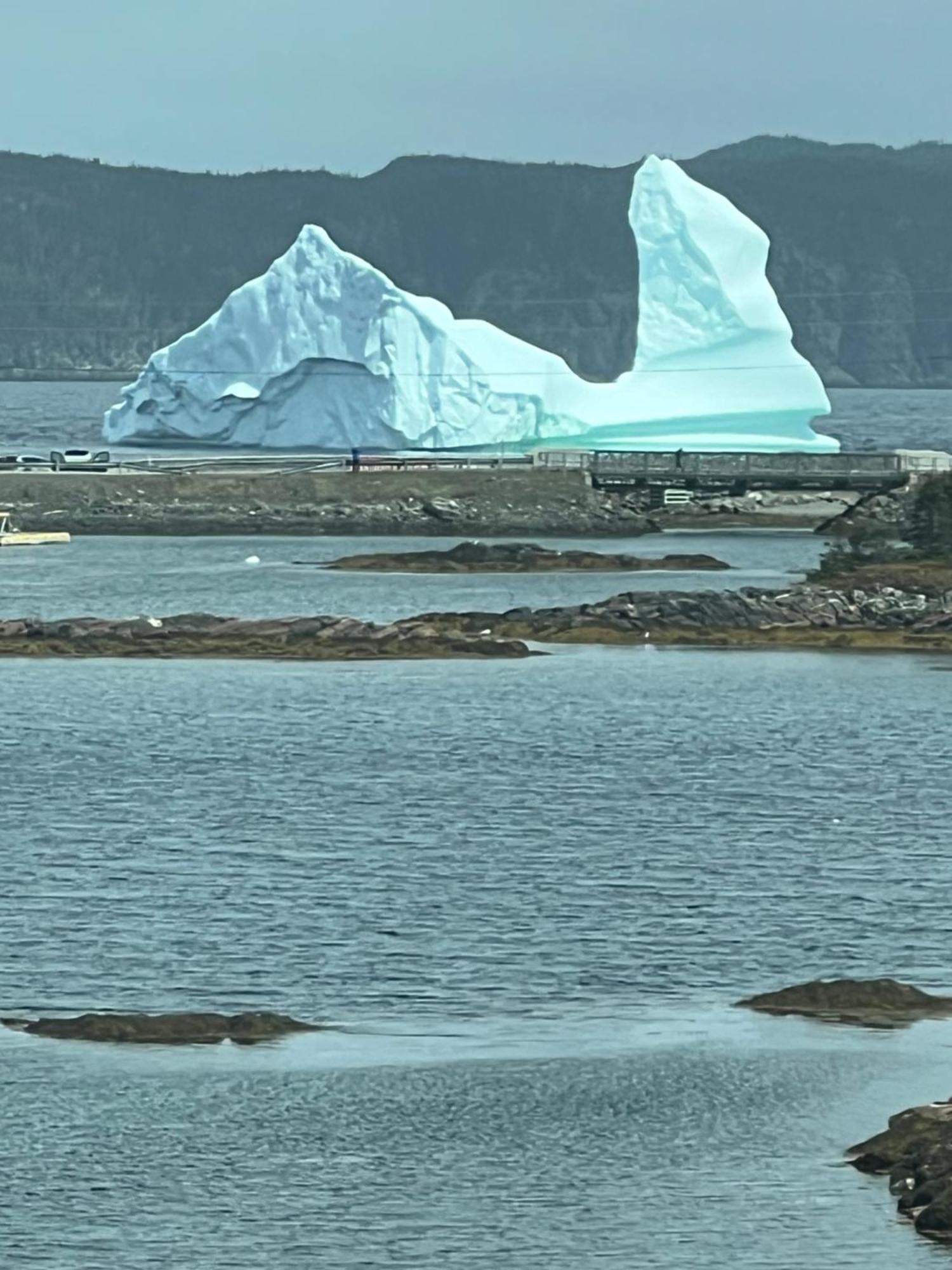 The View Suites And Breakfast In Triton, Newfoundland Pilley's Island ภายนอก รูปภาพ