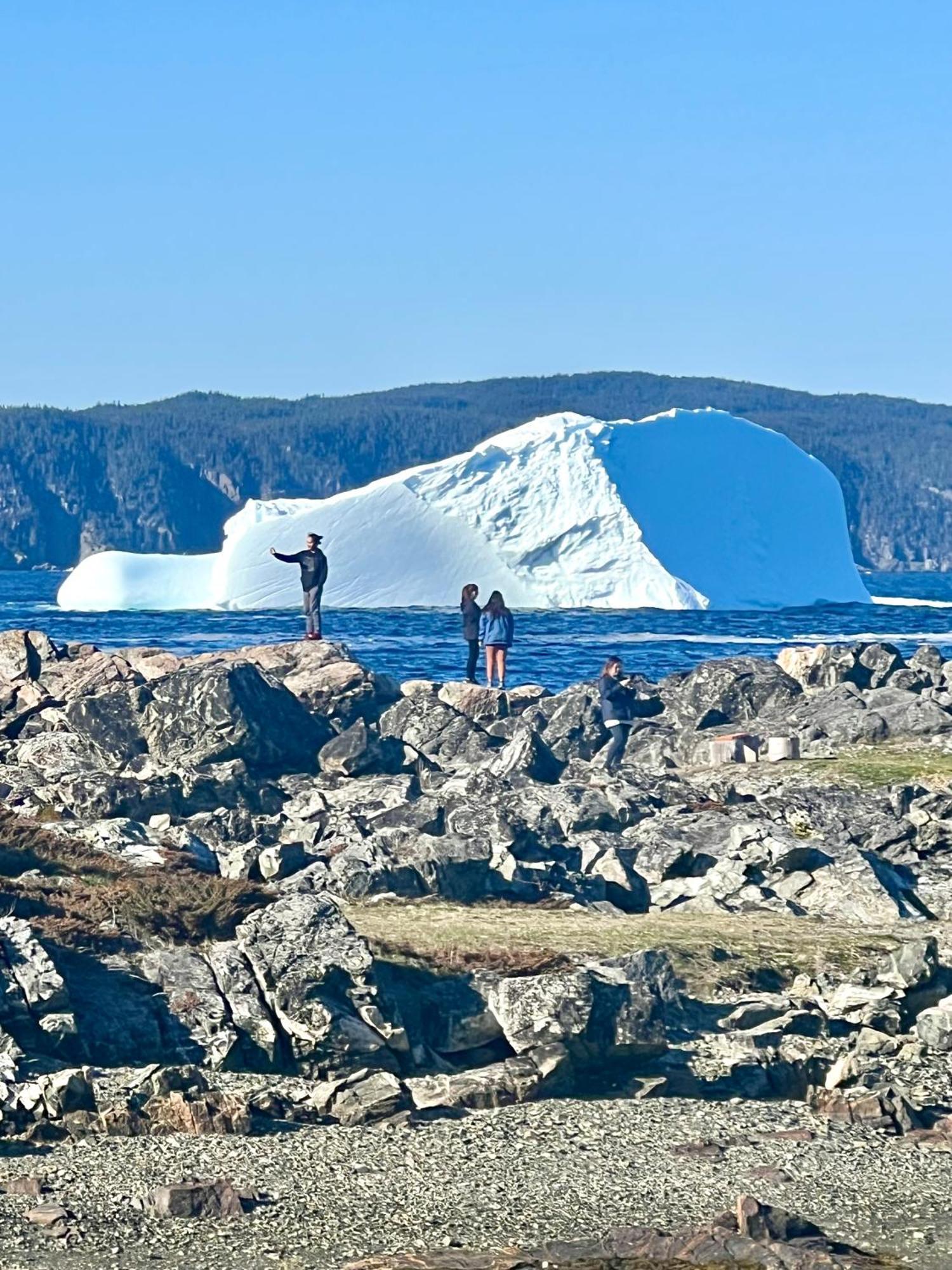The View Suites And Breakfast In Triton, Newfoundland Pilley's Island ภายนอก รูปภาพ