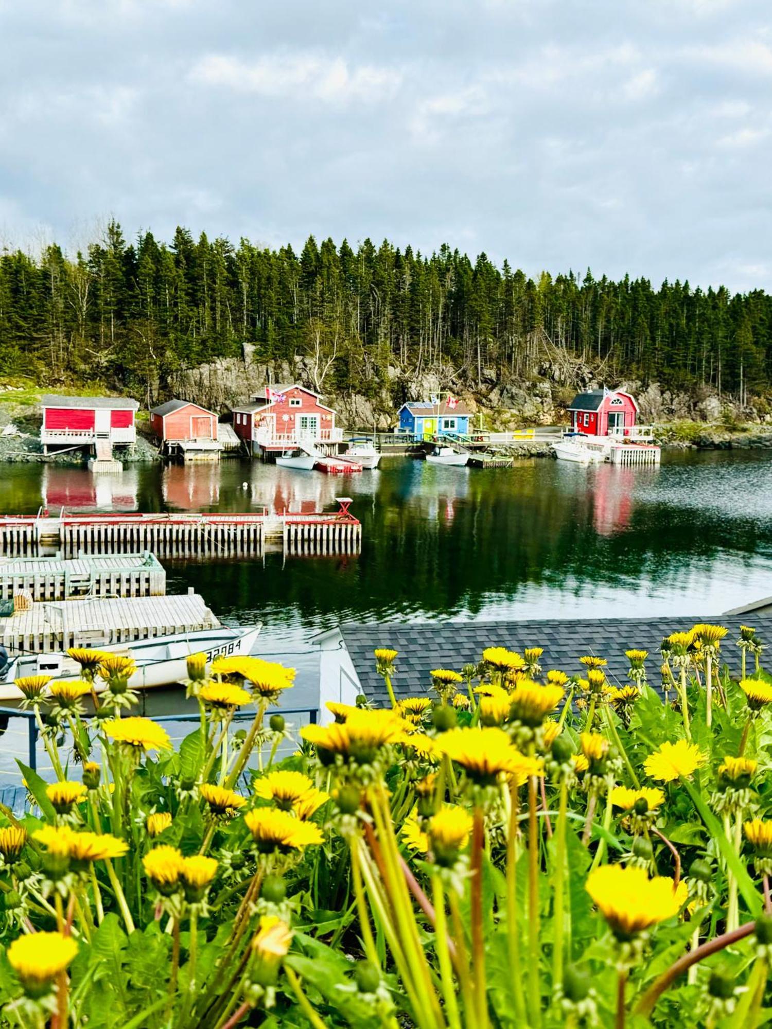 The View Suites And Breakfast In Triton, Newfoundland Pilley's Island ภายนอก รูปภาพ