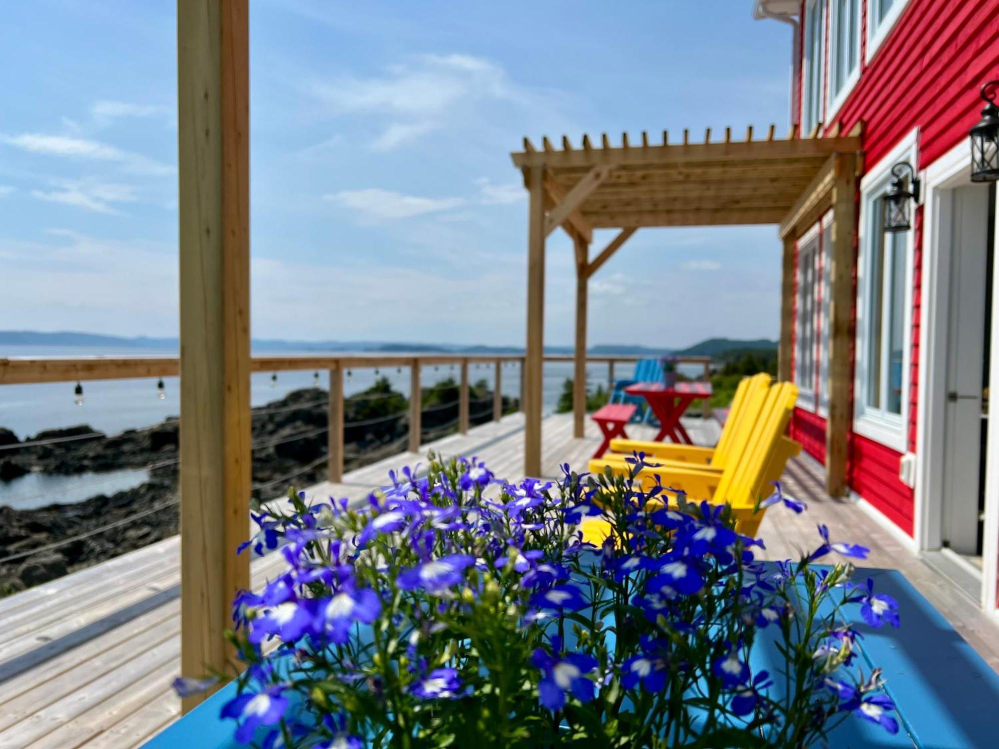 The View Suites And Breakfast In Triton, Newfoundland Pilley's Island ภายนอก รูปภาพ